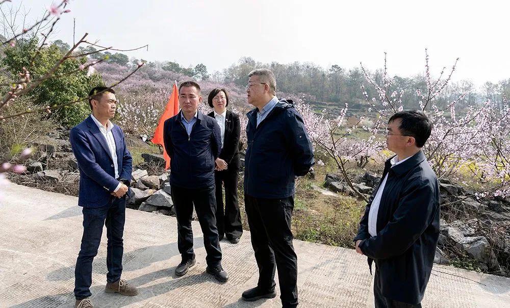 图为在城北街道海河村杨家山调研.jpg
